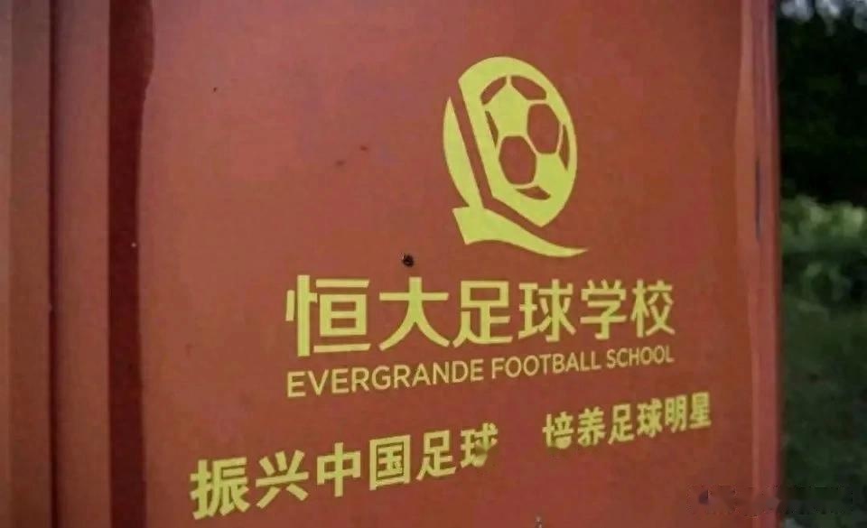 开云体育网站-关于恒大足校10年投入30亿，如今成果如何？的信息